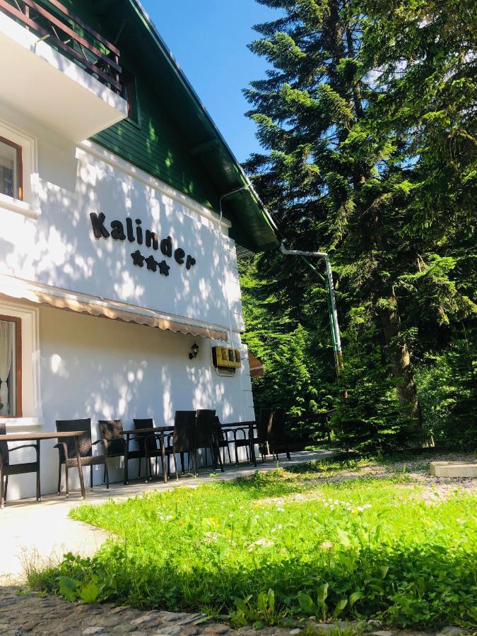 Pensiune & Restaurant Kalinder Busteni Exterior photo